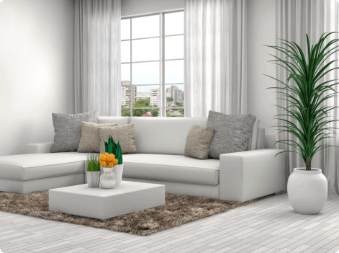 Discover our company